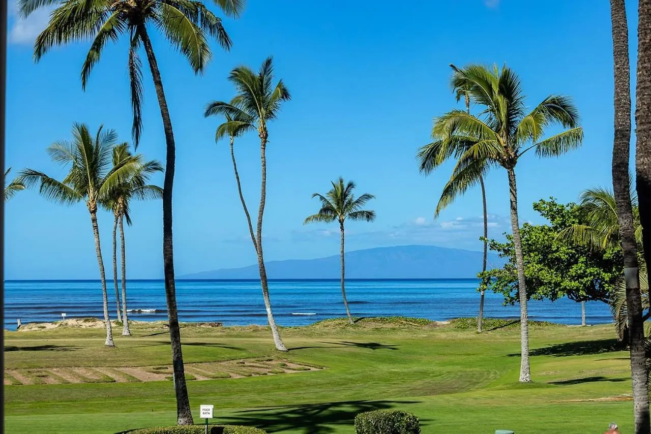Two-Bedroom Apartment Kihei